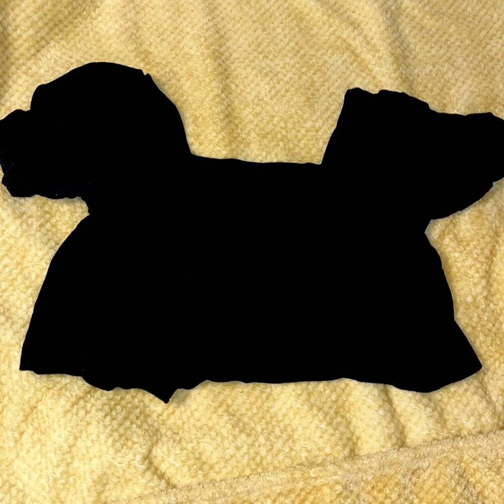 Lizard Thicket Top - Picture 2 of 2